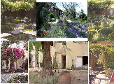 Placeholder Image Placeholder Image