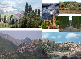 Placeholder  Image